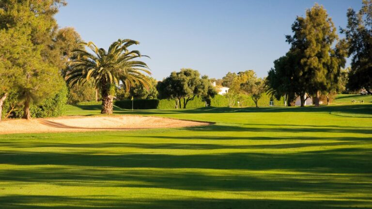 Golf in the pure nature Golf in the pure nature